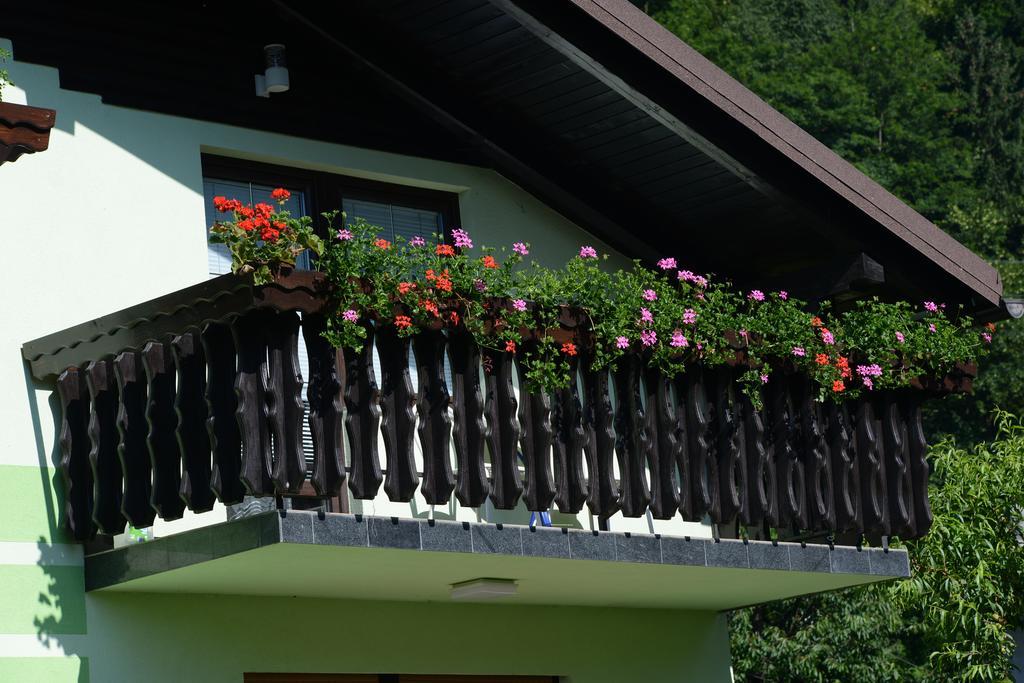 Zeleni Apartma Зрече Екстер'єр фото